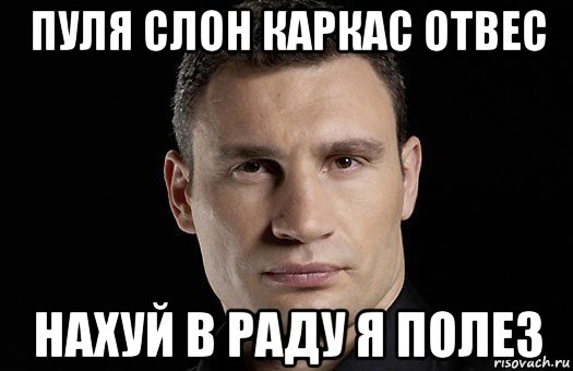 пуля слон каркас отвес нахуй в раду я полез, Мем Кличко