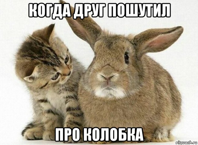 когда друг пошутил про колобка