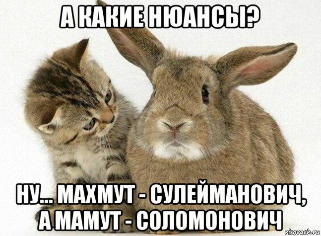 а какие нюансы? ну... махмут - сулейманович, а мамут - соломонович