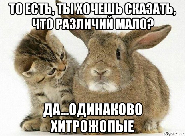 то есть, ты хочешь сказать, что различий мало? да...одинаково хитрожопые