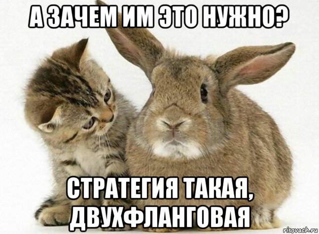 а зачем им это нужно? стратегия такая, двухфланговая