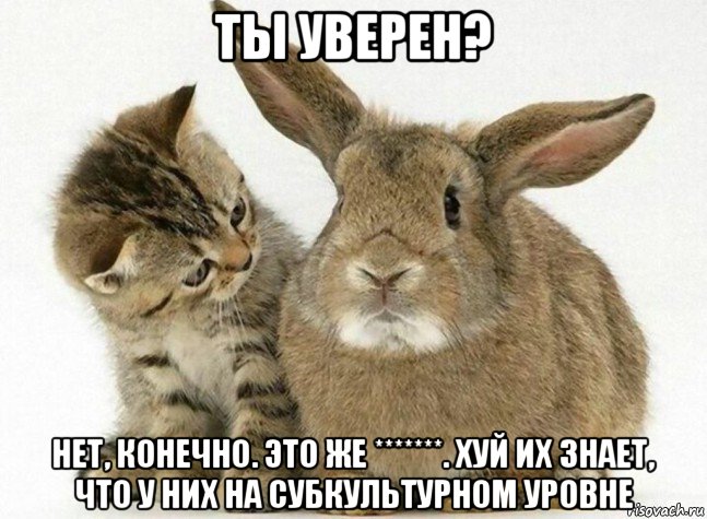 ты уверен? нет, конечно. это же *******. хуй их знает, что у них на субкультурном уровне