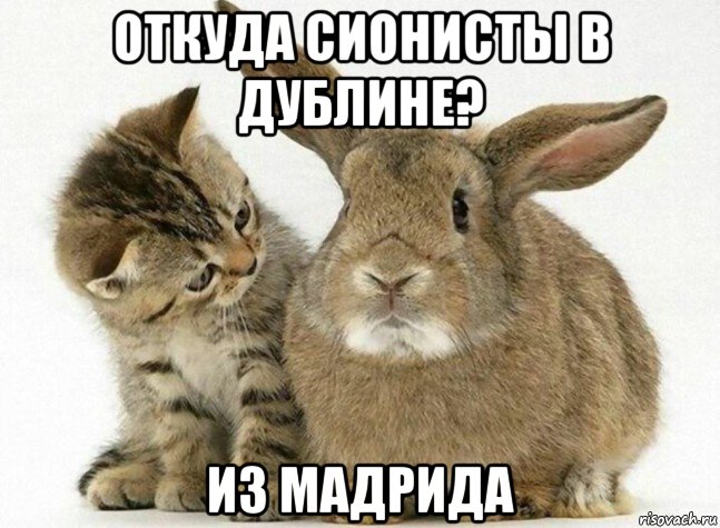 откуда сионисты в дублине? из мадрида
