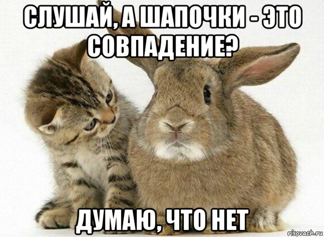 слушай, а шапочки - это совпадение? думаю, что нет