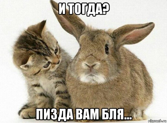 и тогда? пизда вам бля...