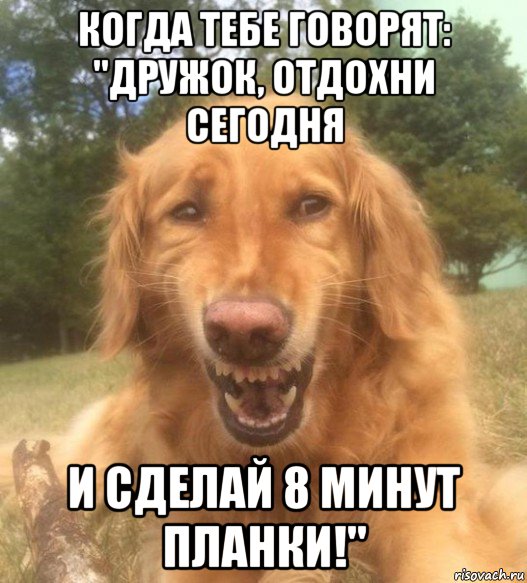 когда тебе говорят: "дружок, отдохни сегодня и сделай 8 минут планки!", Мем   Когда увидел что соседского кота отнесли в чебуречную