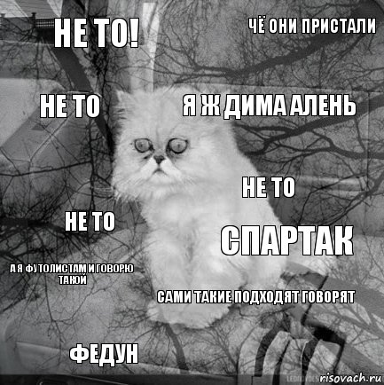 НЕ ТО! СПАРТАК Я Ж ДИМА АЛЕНЬ ФЕДУН НЕ ТО ЧЁ ОНИ ПРИСТАЛИ САМИ ТАКИЕ ПОДХОДЯТ ГОВОРЯТ НЕ ТО А Я ФУТОЛИСТАМ И ГОВОРЮ ТАКОЙ НЕ ТО, Комикс  кот безысходность