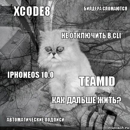 Xcode8 TeamId Не отключить в CLI Автоматические подписи Iphoneos 10.0 Билдера сломаются Как дальше жить?   , Комикс  кот безысходность