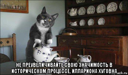  не преувеличивайте свою значимость в историческом процессе, иллариона хуговна