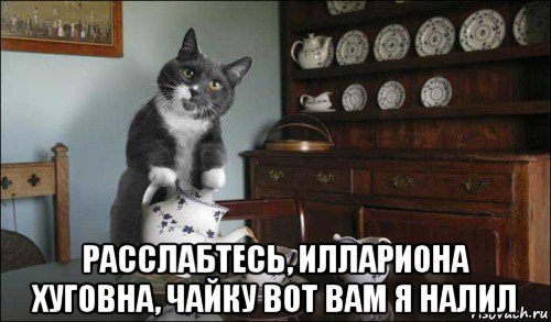 расслабтесь, иллариона хуговна, чайку вот вам я налил