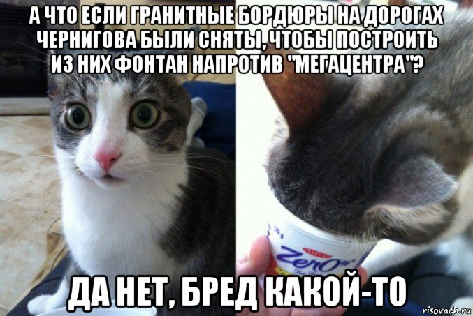 а что если гранитные бордюры на дорогах чернигова были сняты, чтобы построить из них фонтан напротив "мегацентра"? да нет, бред какой-то, Мем Кот да не бред какой то