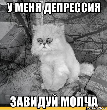 у меня депрессия завидуй молча, Мем Кот депрессия