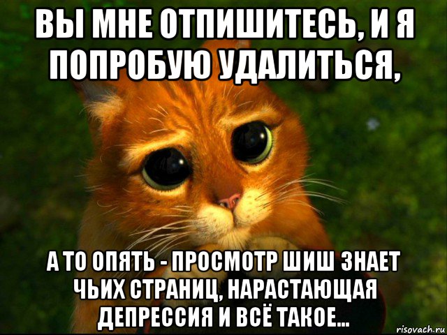 вы мне отпишитесь, и я попробую удалиться, а то опять - просмотр шиш знает чьих страниц, нарастающая депрессия и всё такое..., Мем кот из шрека