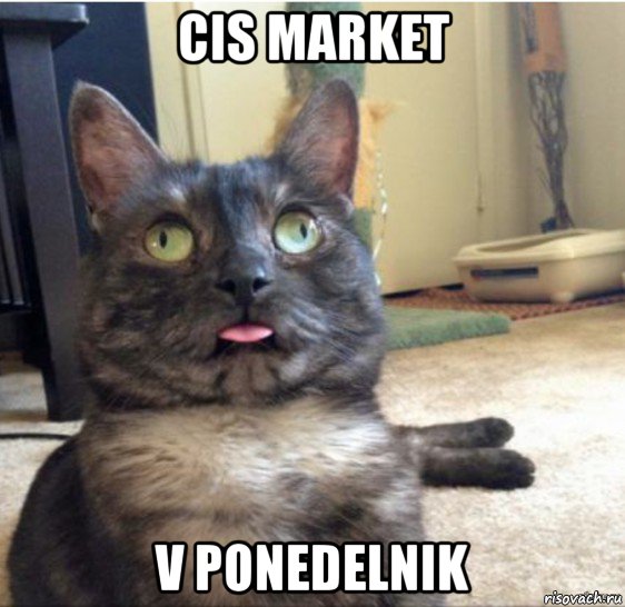 cis market v ponedelnik, Мем   Кот завис