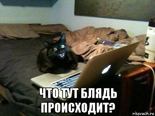 Мем за ноутбуком Мем за ноутбуком