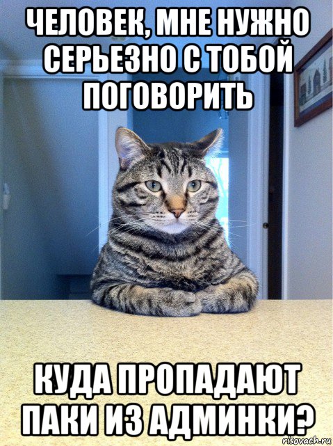 человек, мне нужно серьезно с тобой поговорить куда пропадают паки из админки?, Мем кот