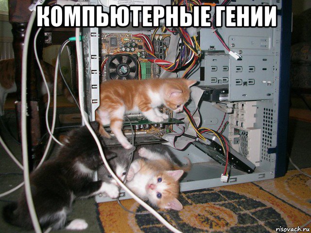 компьютерные гении 