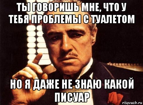 ты говоришь мне, что у тебя проблемы с туалетом но я даже не знаю какой писуар, Мем крестный отец