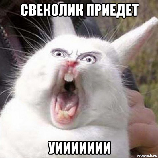 свеколик приедет уиииииии