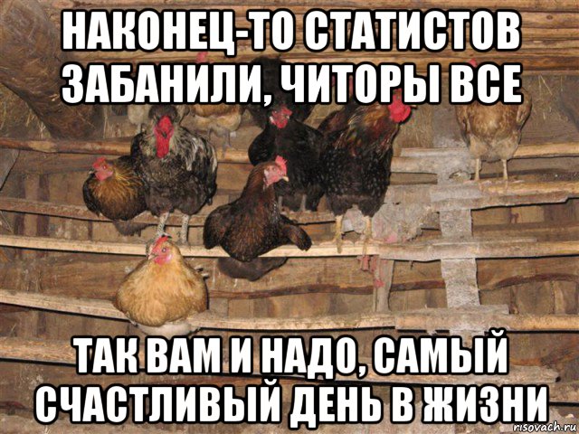 наконец-то статистов забанили, читоры все так вам и надо, самый счастливый день в жизни, Мем Курятник