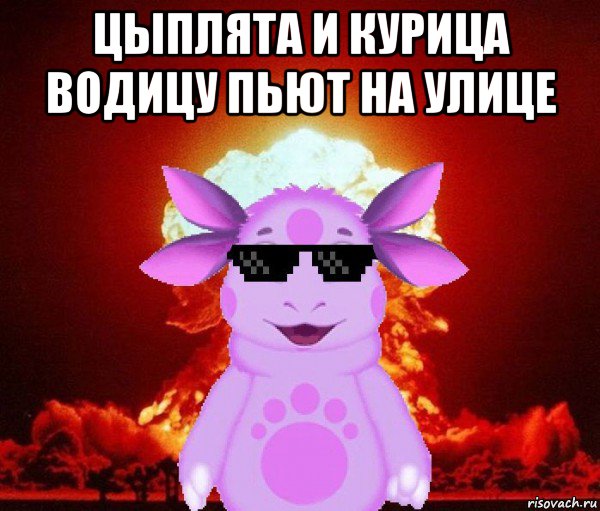 цыплята и курица водицу пьют на улице 