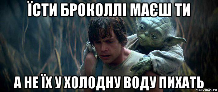 їсти броколлі маєш ти а не їх у холодну воду пихать