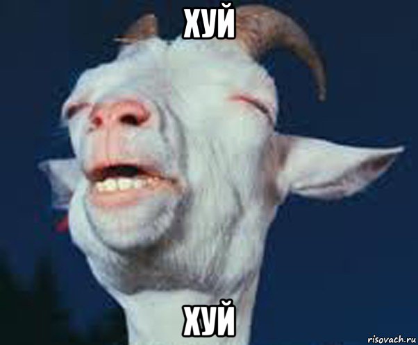 хуй хуй, Мем Мага