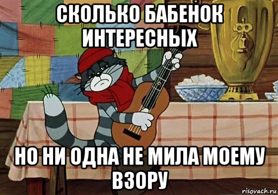 сколько бабенок интересных но ни одна не мила моему взору, Мем Грустный Матроскин с гитарой