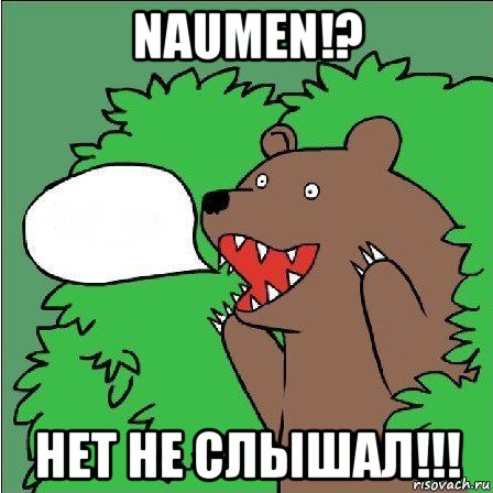 naumen!? нет не слышал!!!, Мем Медведь-шлюха