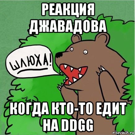 реакция джавадова когда кто-то едит на ddgg, Мем Медведь в кустах