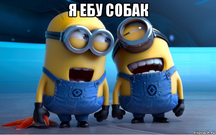 я ебу собак 