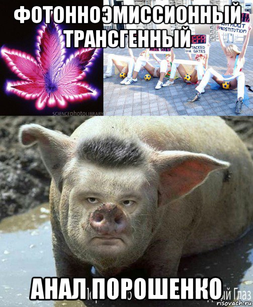 фотонноэмиссионный трансгенный анал порошенко