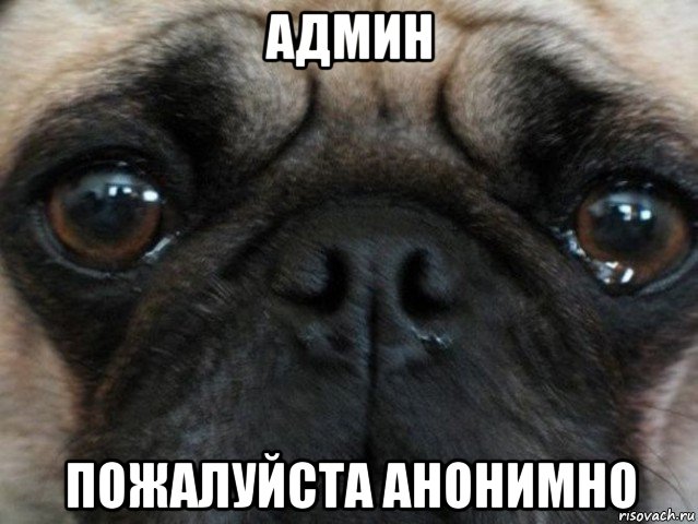 админ пожалуйста анонимно, Мем Мопс
