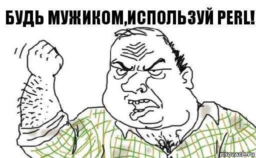 Будь мужиком,используй PERL!, Комикс Мужик блеать