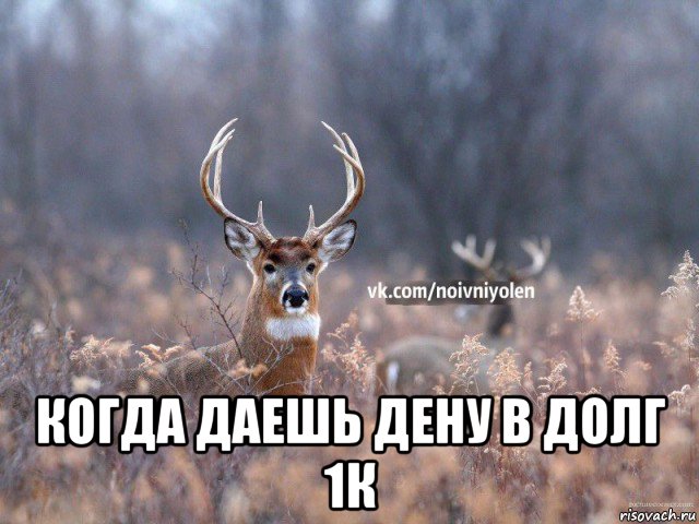  когда даешь дену в долг 1к