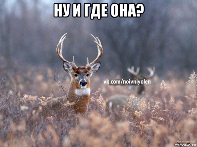 ну и где она? 