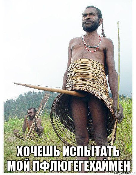  хочешь испытать мой пфлюгегехаймен