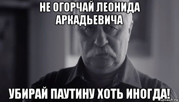 не огорчай леонида аркадьевича убирай паутину хоть иногда!, Мем Не огорчай Леонида Аркадьевича