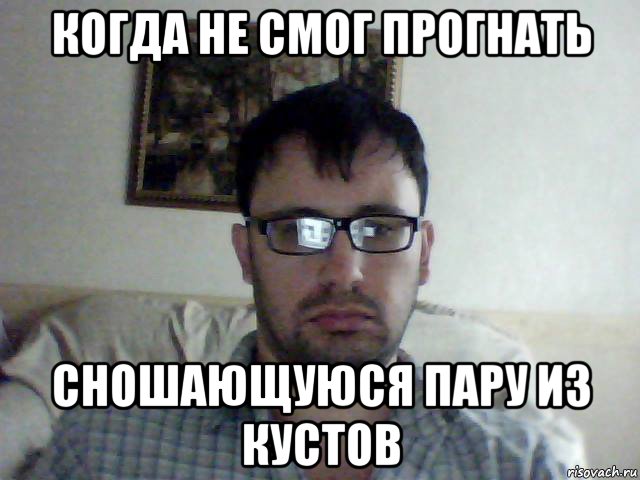 когда не смог прогнать сношающуюся пару из кустов