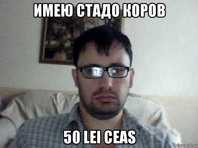 имею стадо коров 50 lei ceas