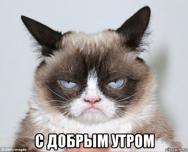  с добрым утром