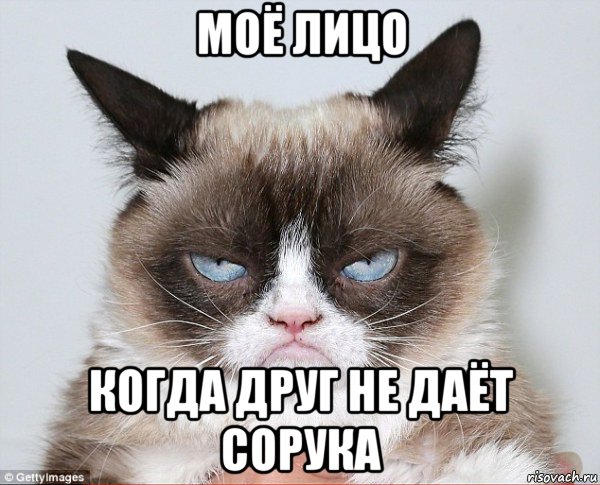 моё лицо когда друг не даёт сорука