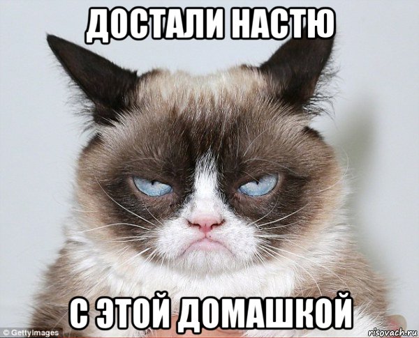 достали настю с этой домашкой
