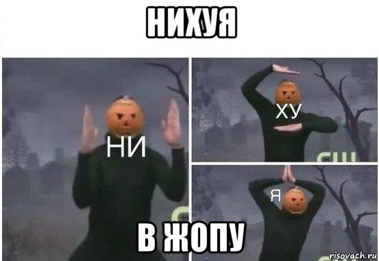 нихуя в жопу, Мем  Ни ху Я