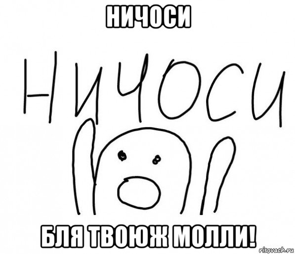 ничоси бля твоюж молли!, Мем  Ничоси