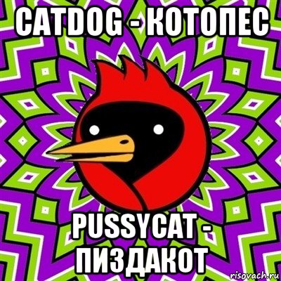 catdog - котопес pussycat - пиздакот, Мем Омская птица