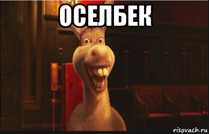 оселбек , Мем Осел из Шрека