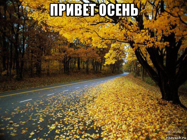 привет осень , Мем Осень курса просит