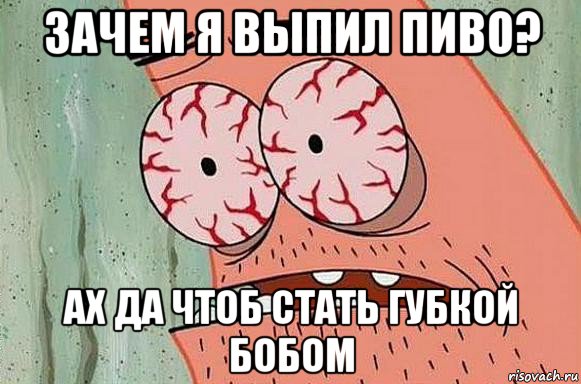 зачем я выпил пиво? ах да чтоб стать губкой бобом, Мем  Патрик в ужасе