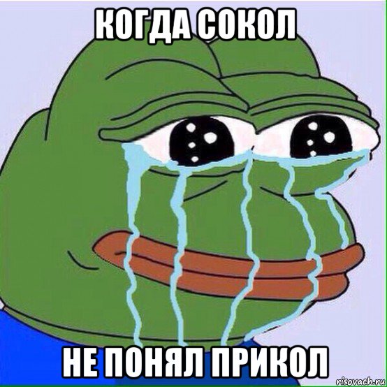 когда сокол не понял прикол